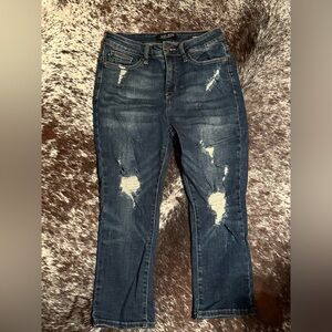 Judy Blue Capris
